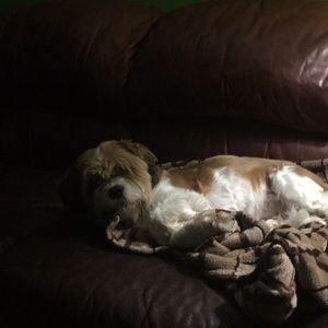 Meet your Posher, Jenni